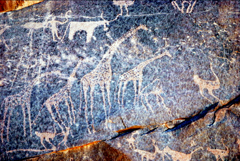Gilf Kebir Rock Carvings